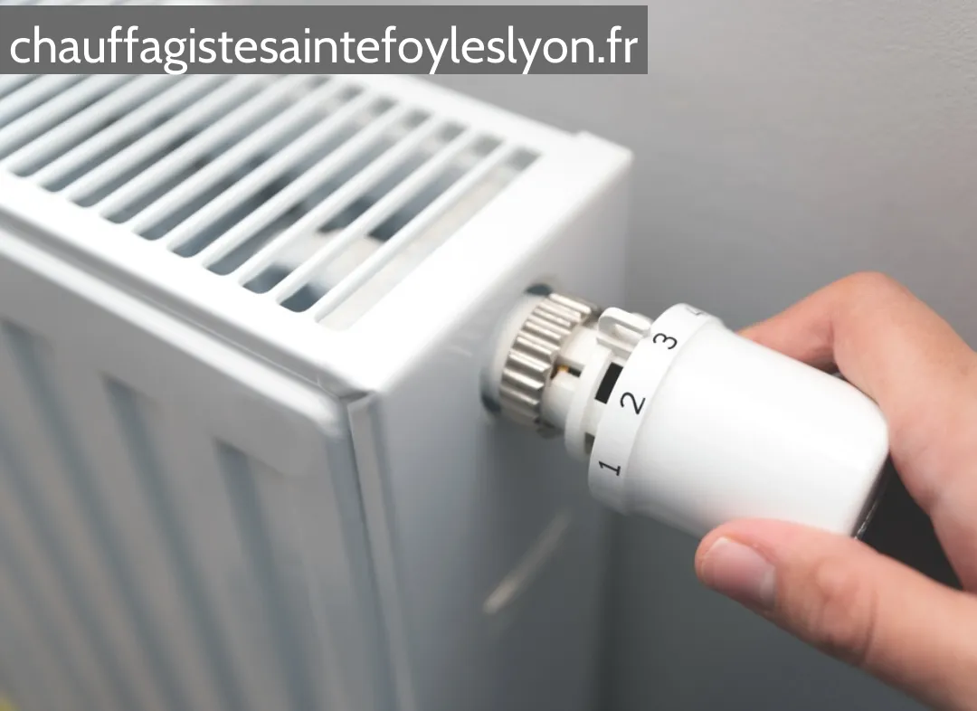 Remplacement de Thermostat Sainte-Foy-lès-Lyon